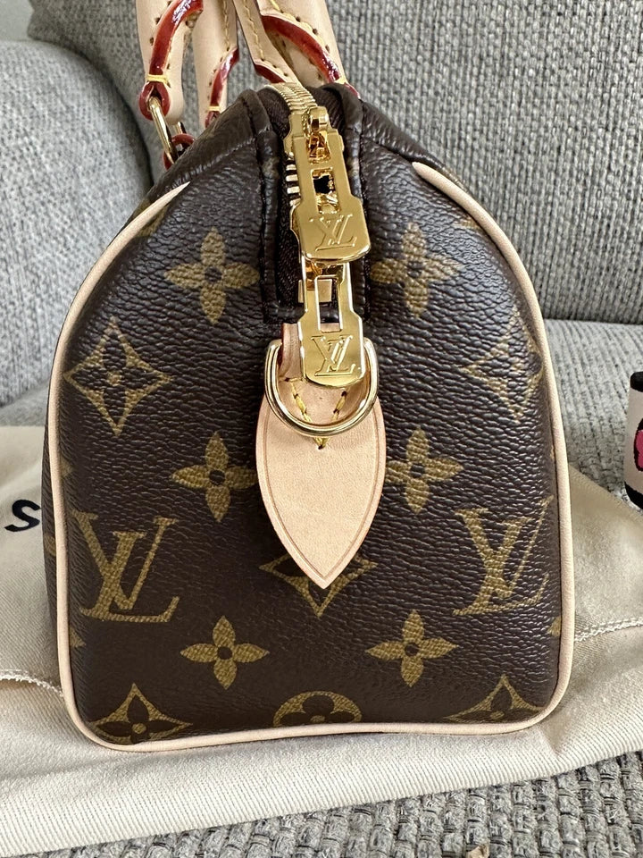 Brand New LOUIS VUITTON Speedy