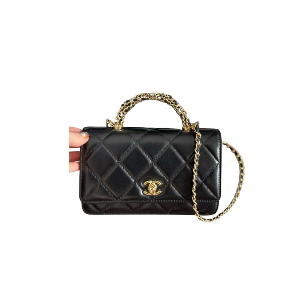 Chanel Sheepskin Fortune Bag