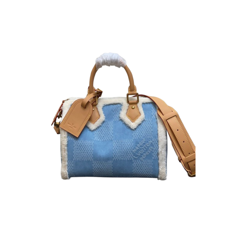LV Speedy 25 Bandoullere