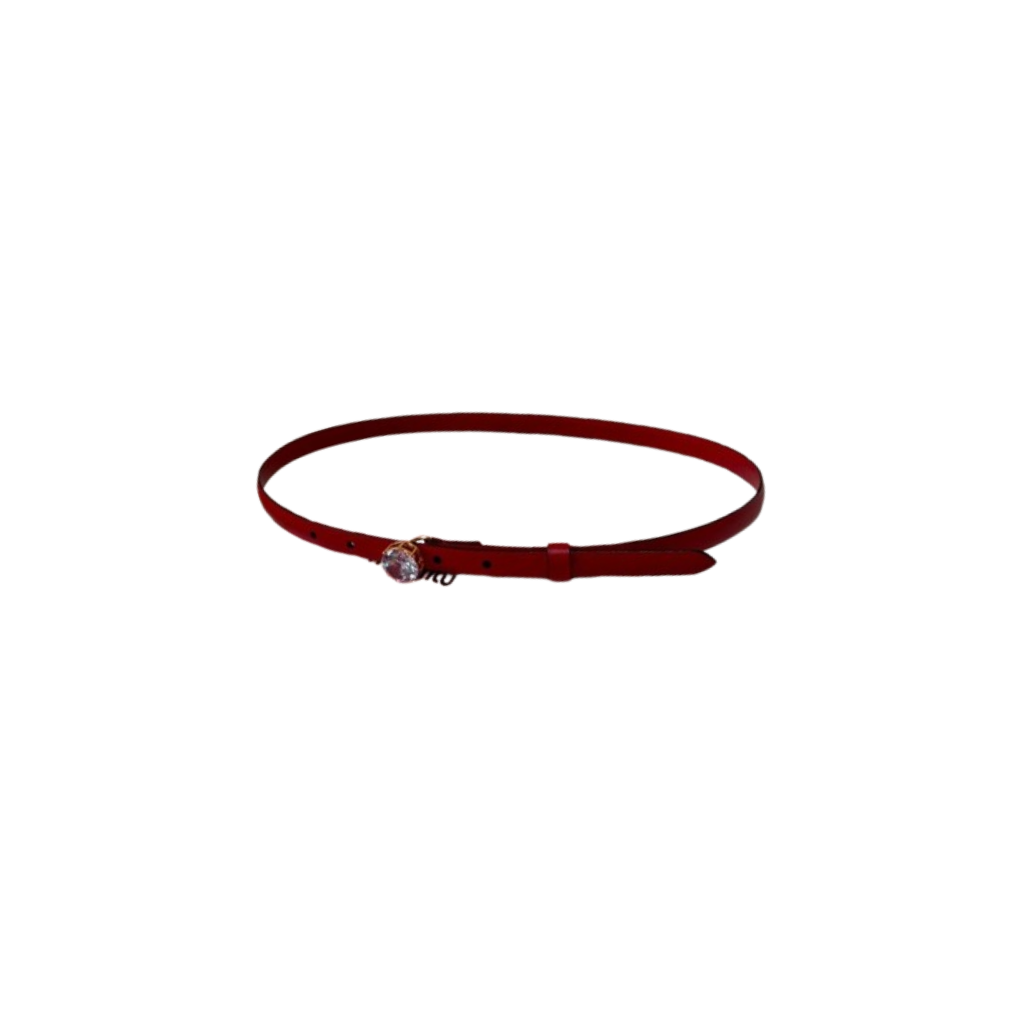Miu Miu Belt
