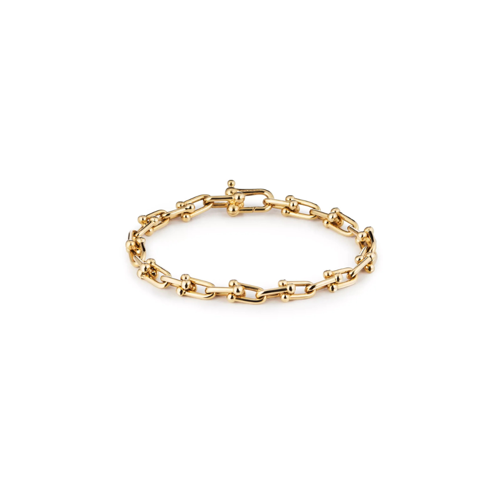 Tiffany & Co Link Bracelet