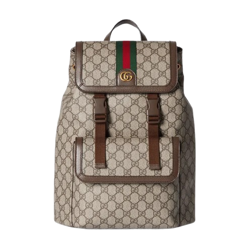 Gucci Ophidia Backpack
