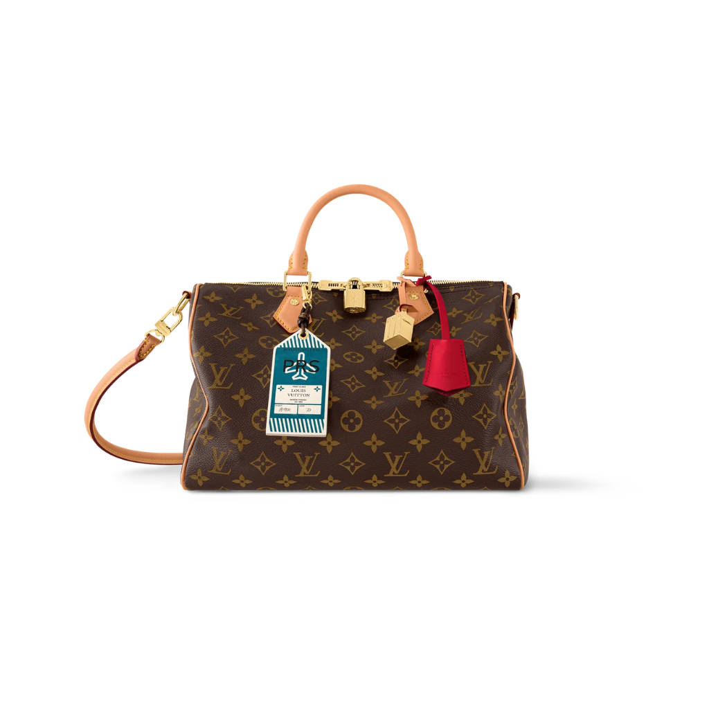 LV Speedy Soft 30 Dark Bag
