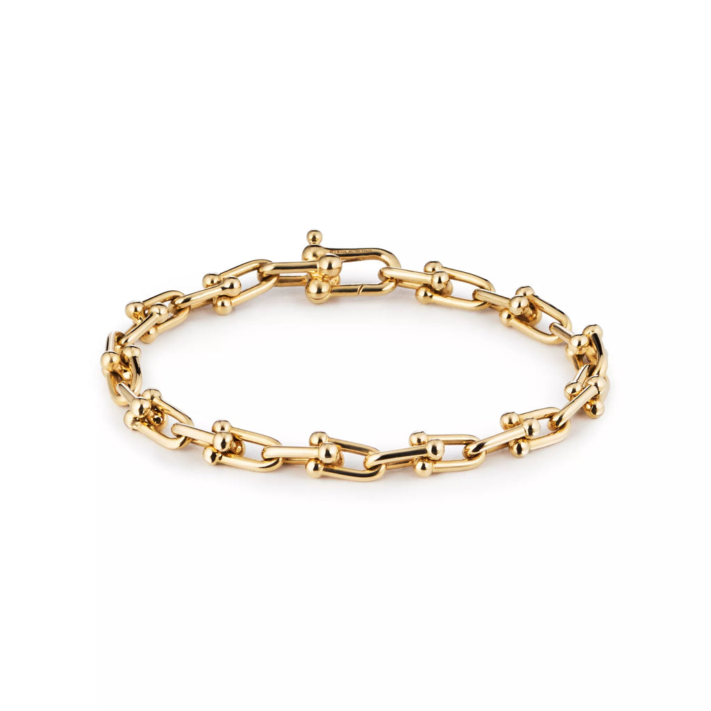 Tiffany & Co Link Bracelet