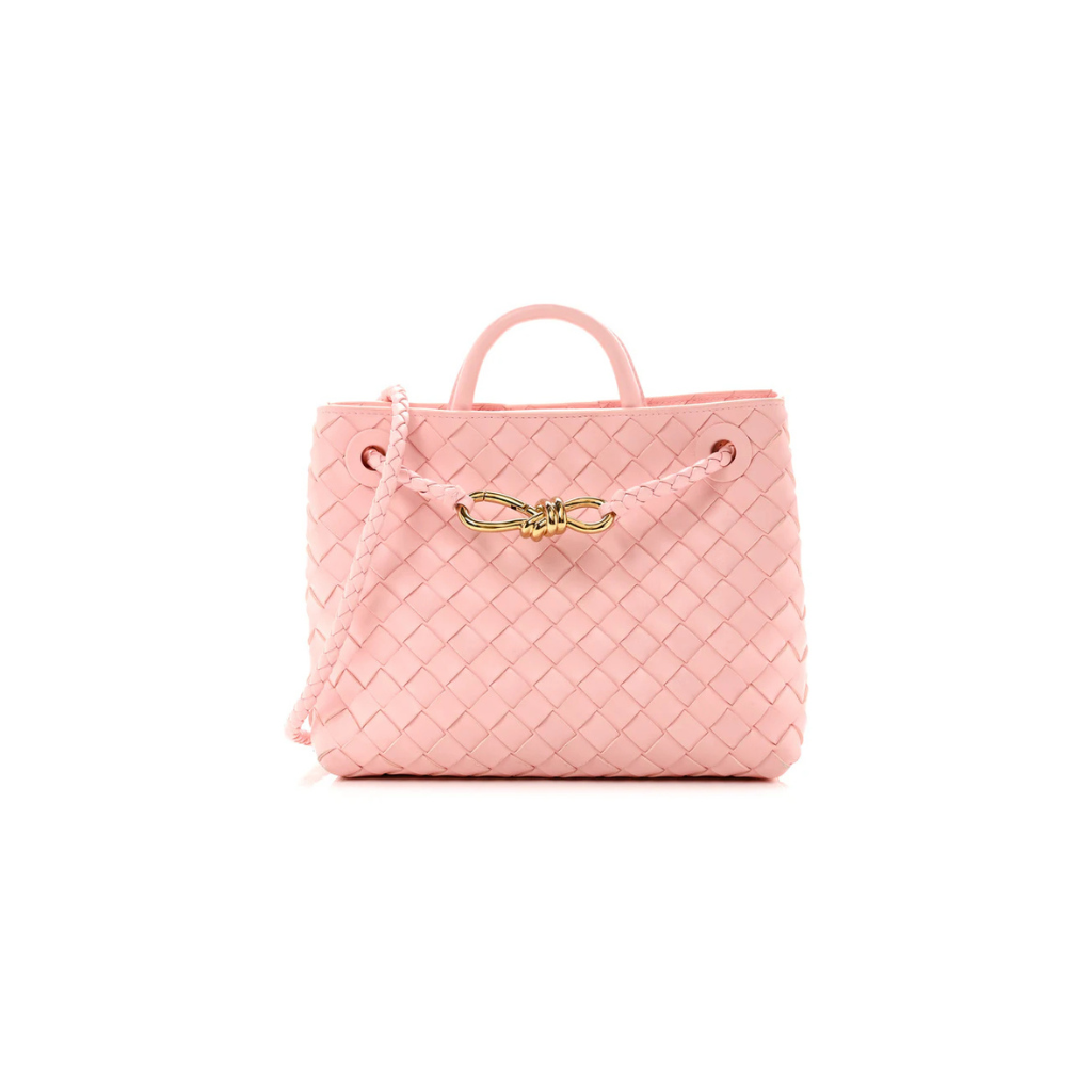 Bottega Veneta Andiamo Bag
