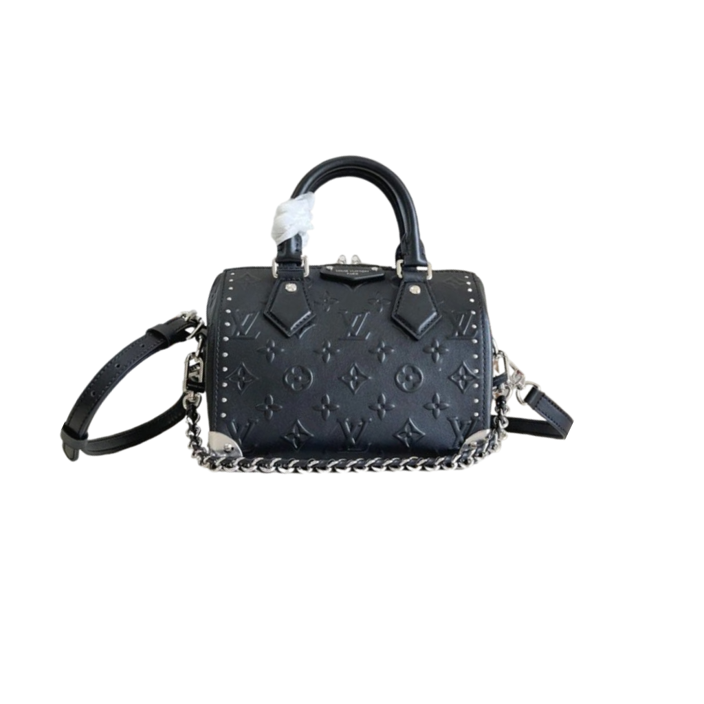 Louis Vuitton Speedy Trunk 20