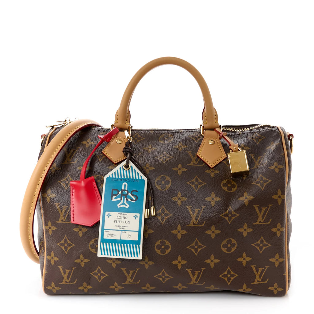 LV Speedy Soft 30 Dark Bag