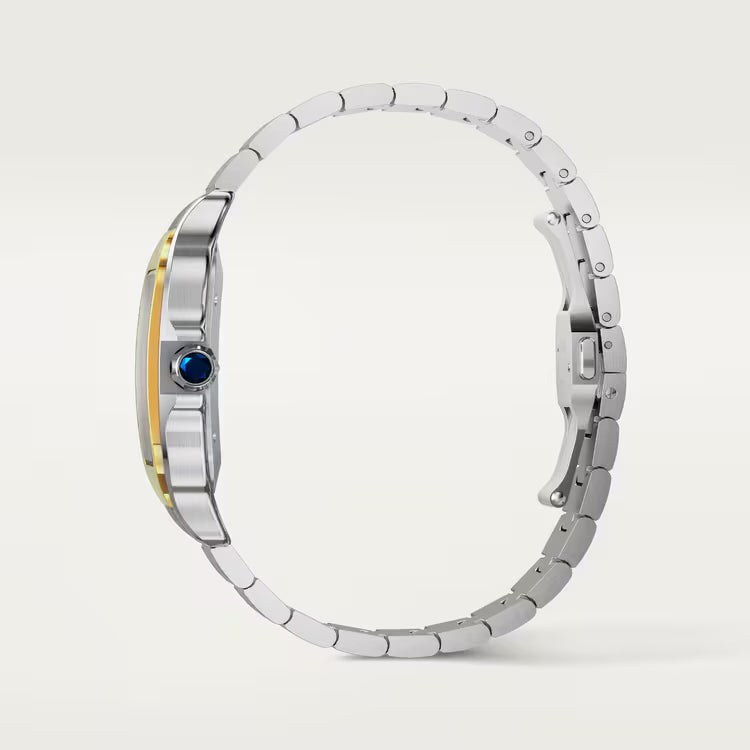 Cartier Santos Gray