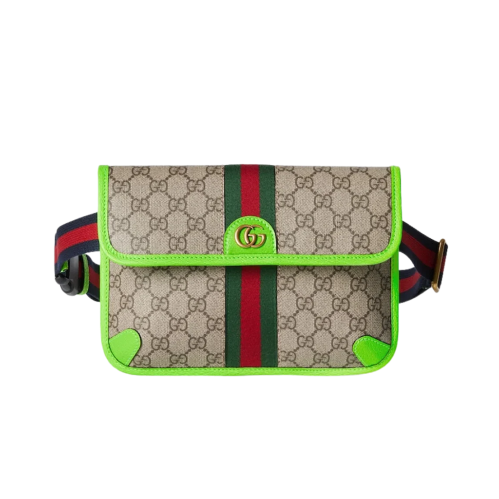 Gucci Ophidia Leather Bag