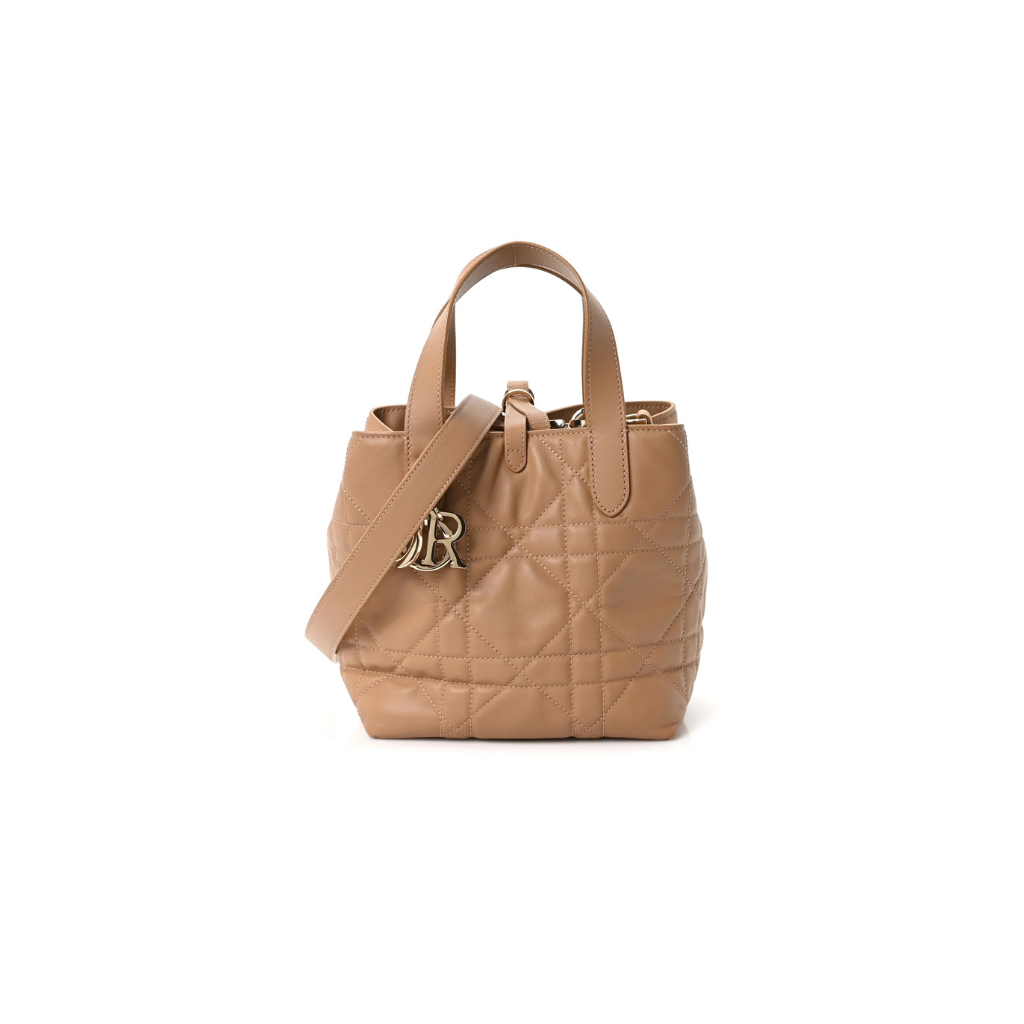 Dior Calfskin Toujours Vertical Beige Bag