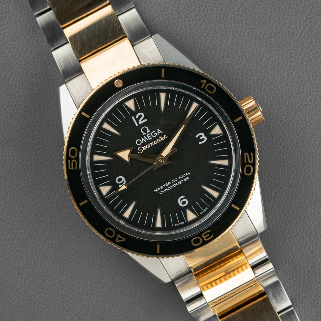 Omega Seamaster two tone dive