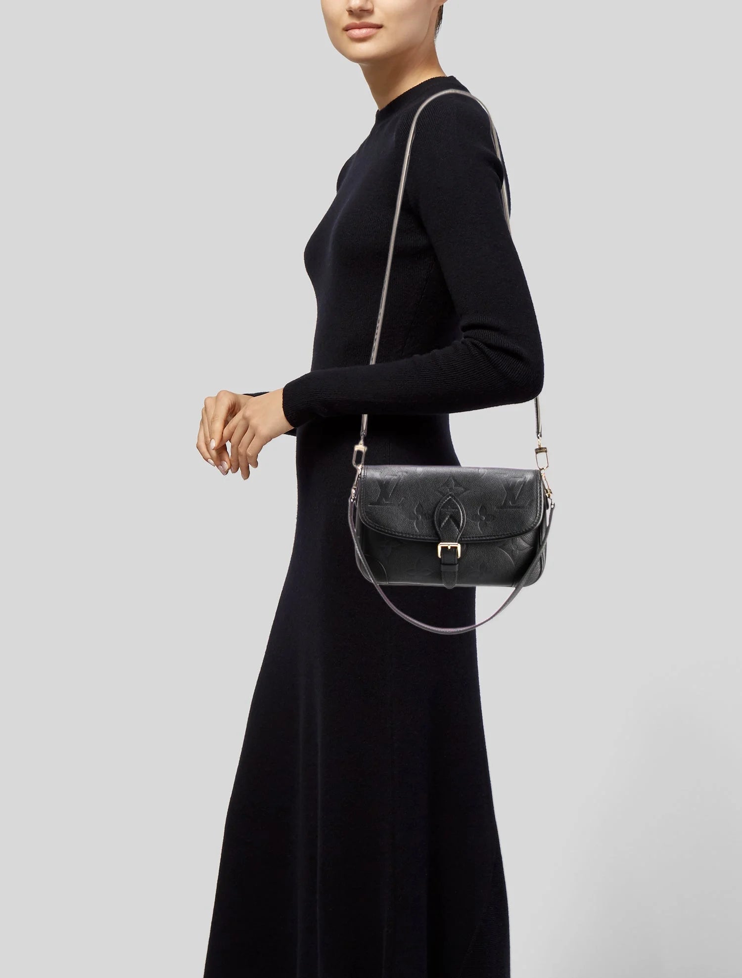 LV Monogram Giant Diane