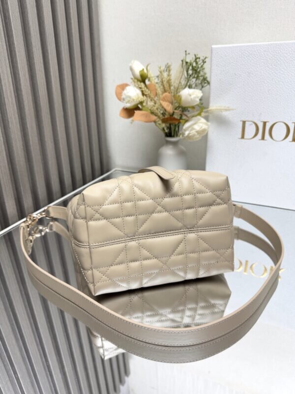 Dior Toujours Calfskin Powder Beige Tote Bag