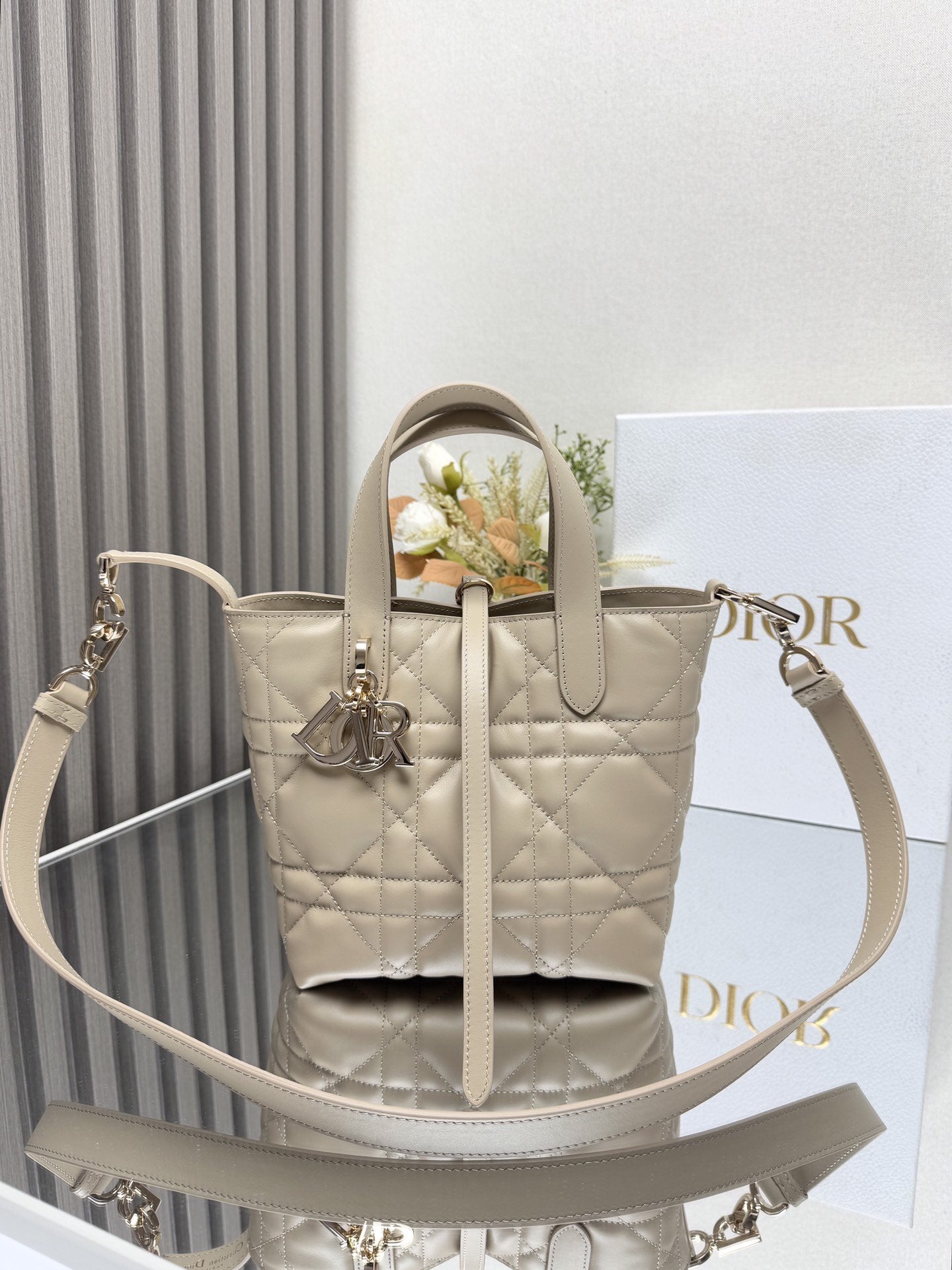Dior Toujours Calfskin Powder Beige Tote Bag