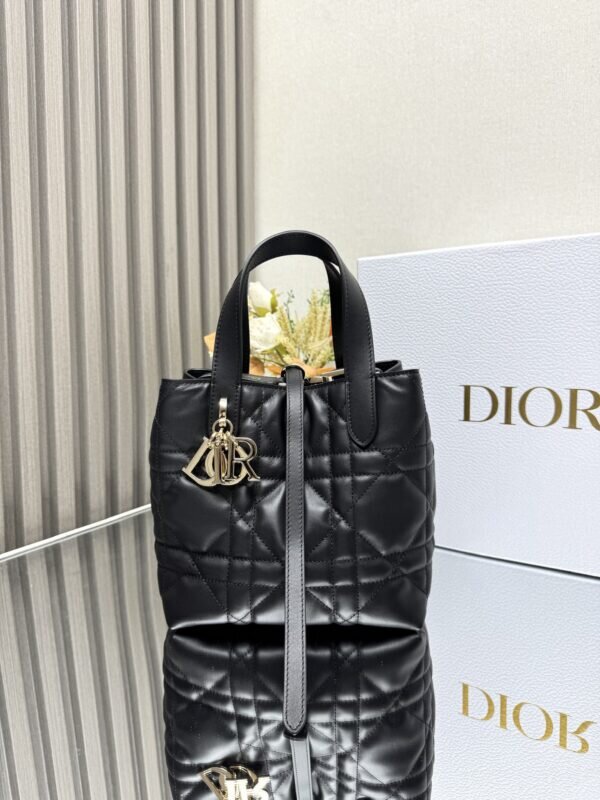 Dior Toujours Vertical Tote Bag