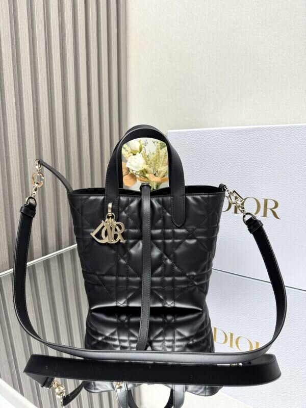 Dior Toujours Vertical Tote Bag