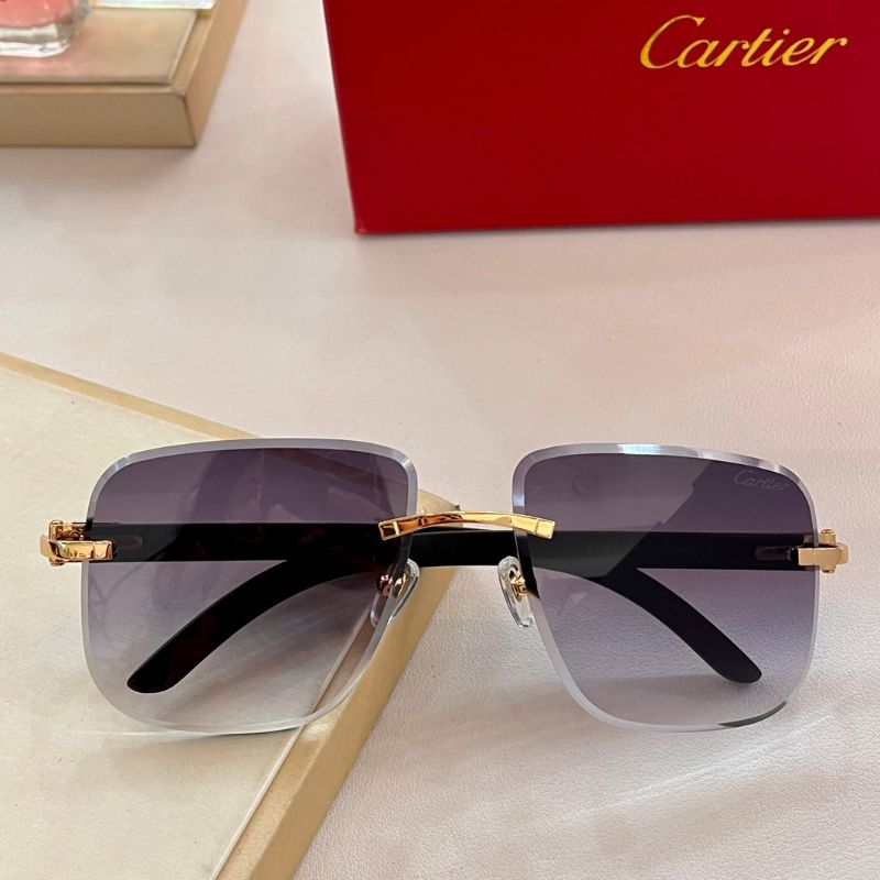 Cartier Sunglasses
