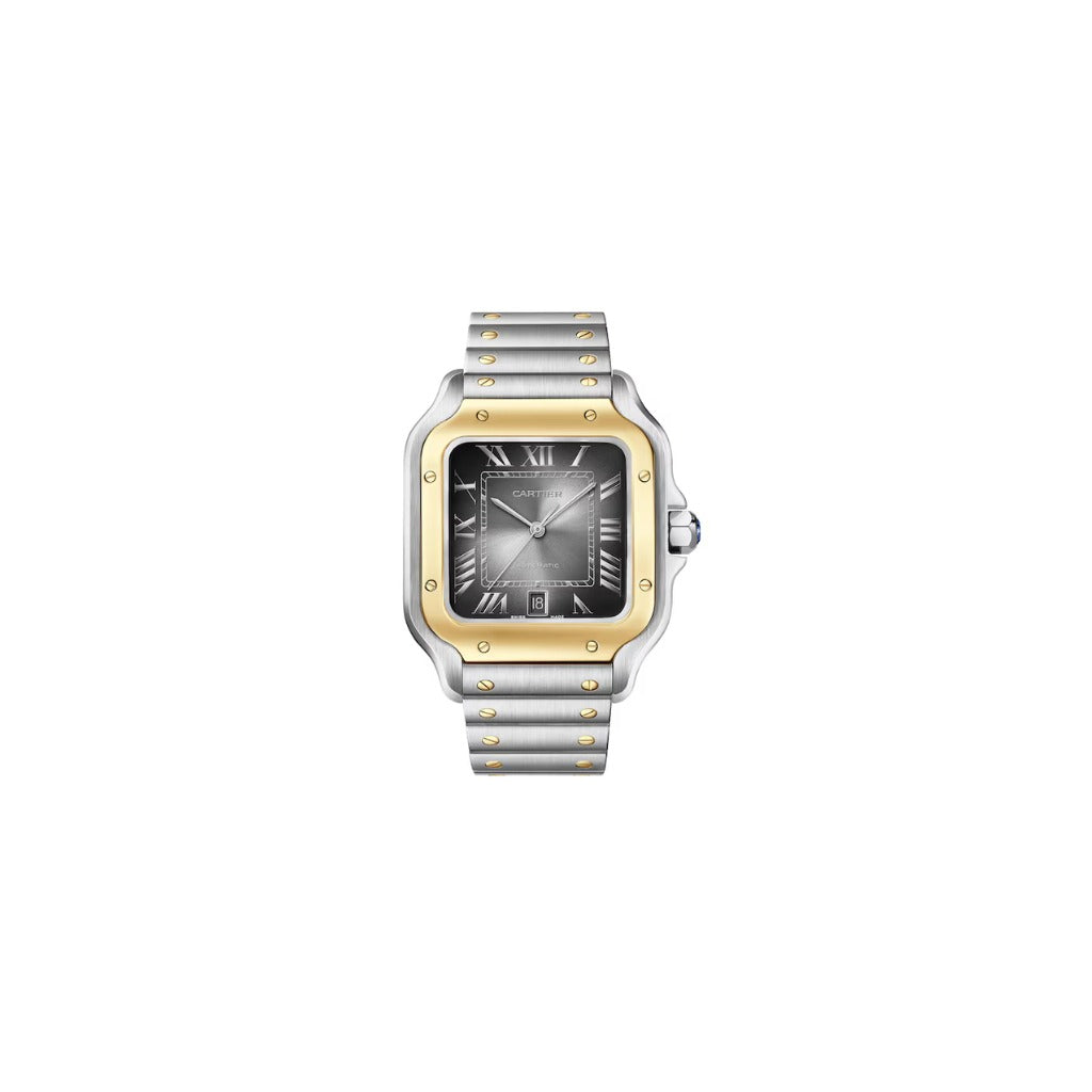 Cartier Santos Gray