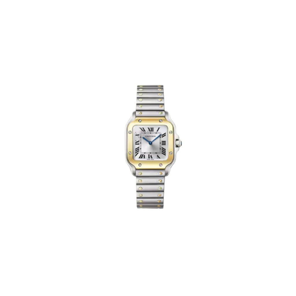 Cartier Santos Two Tone
