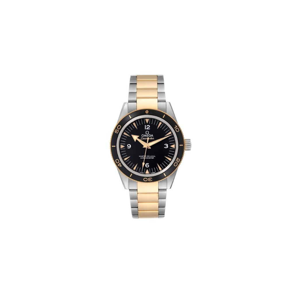 Omega Seamaster two tone dive