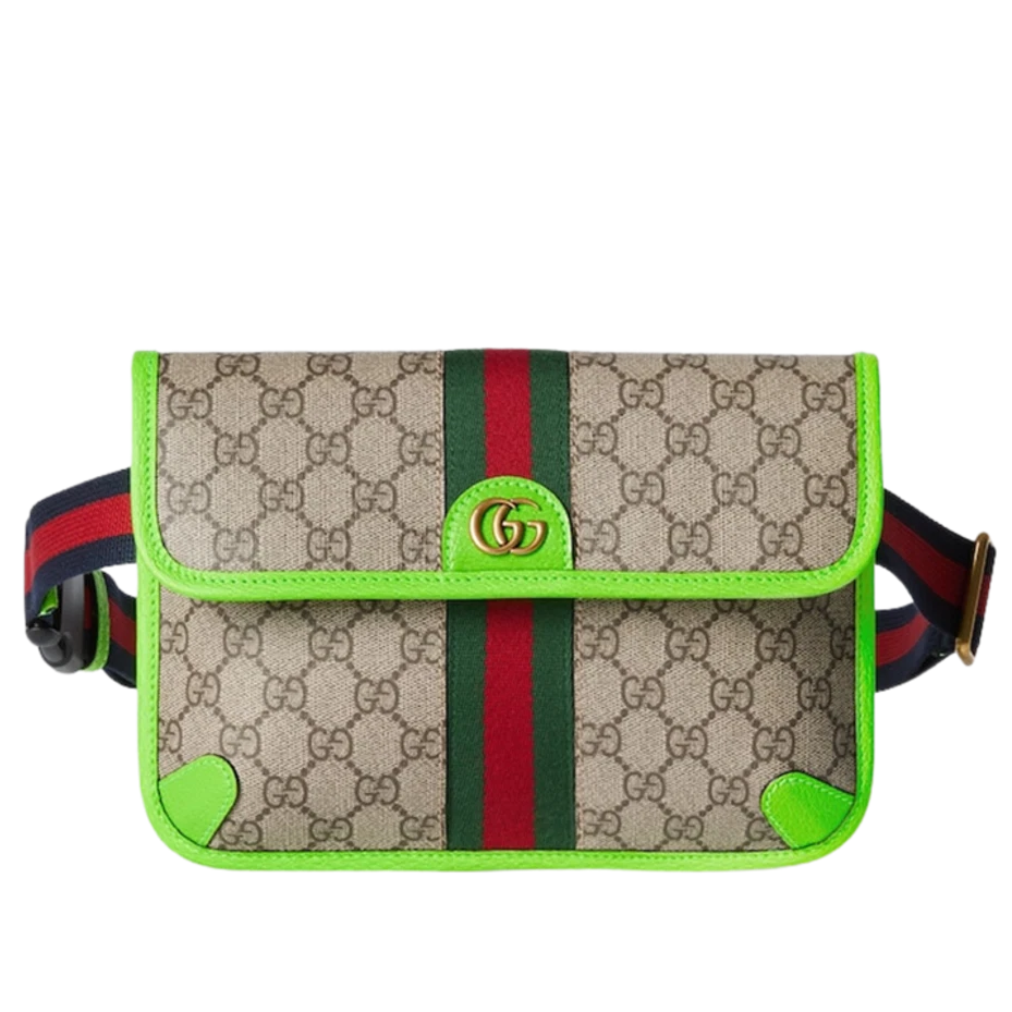 Gucci Ophidia Leather Bag