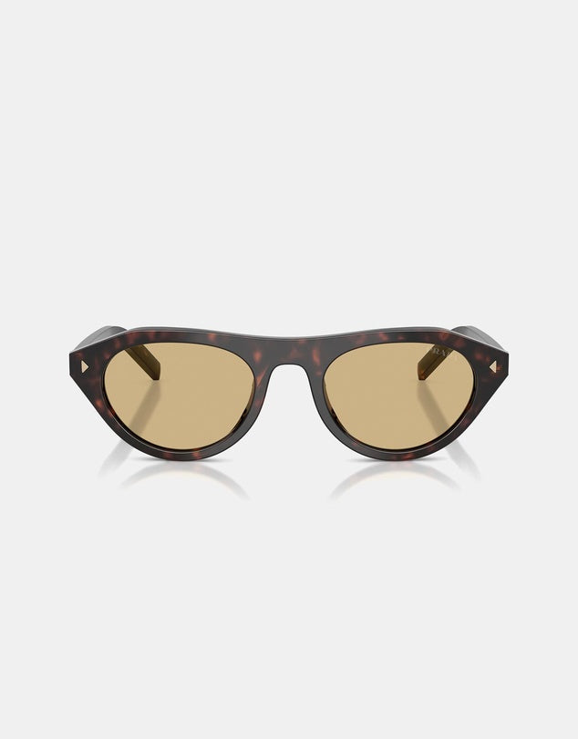 Prada Brown Acetate