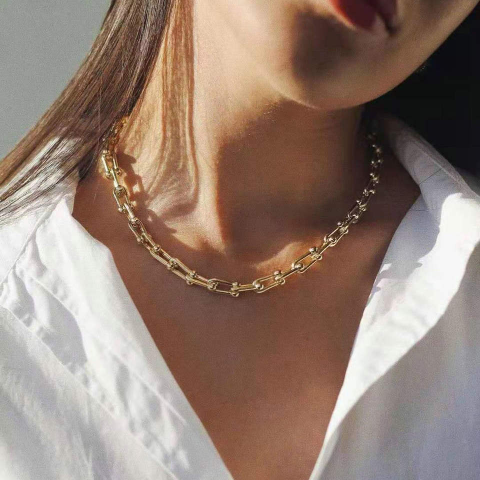 Tiffany & Co Link Necklace