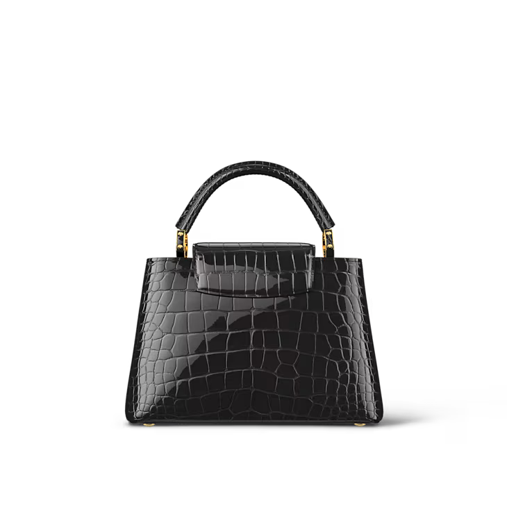 Louis Vuitton Crocodile Capucines Mini