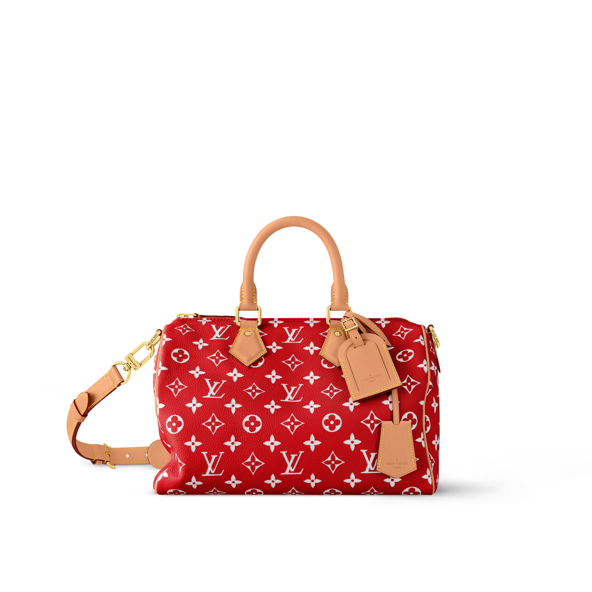 Louis Vuitton Soft Speedy