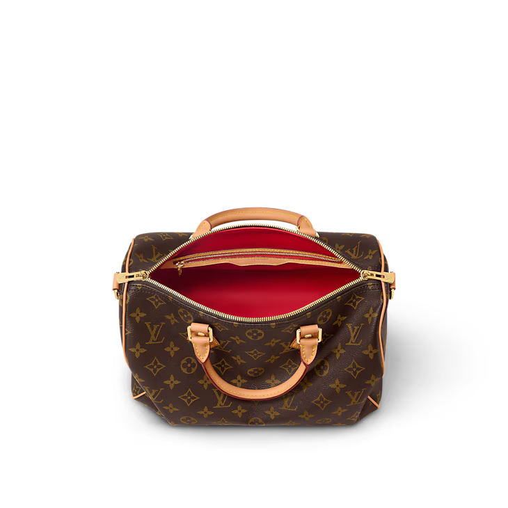 LV Speedy Soft 30 Dark Bag