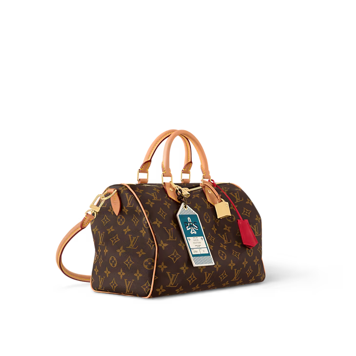 LV Speedy Soft 30 Dark Bag