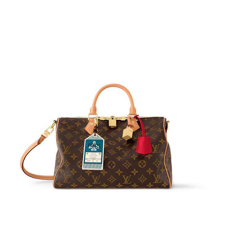 LV Speedy Soft 30 Dark Bag