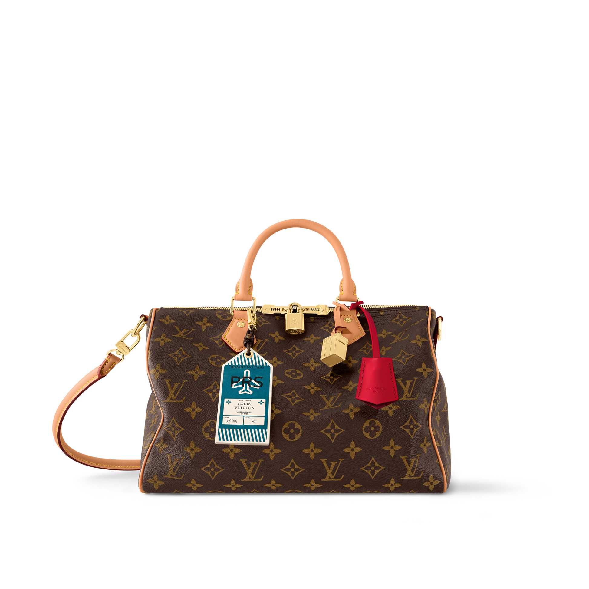 LV Speedy Soft 30 Dark Bag