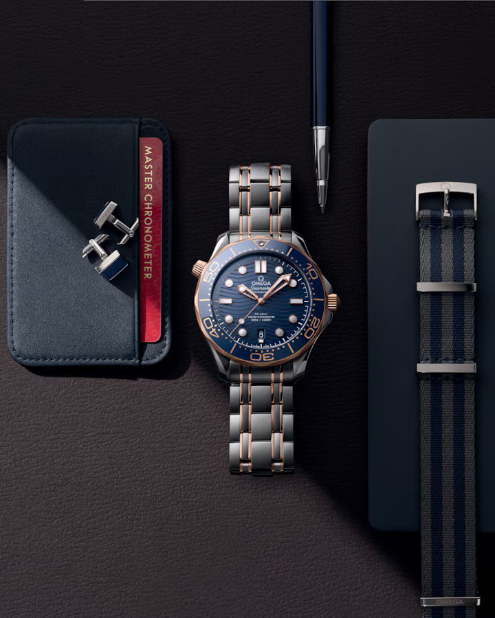 Seamaster Diver