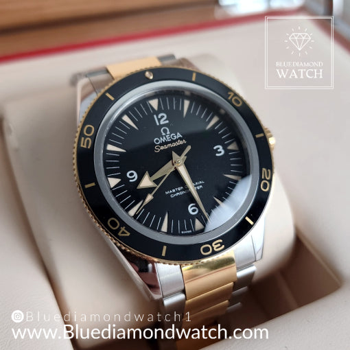 Omega Seamaster two tone dive